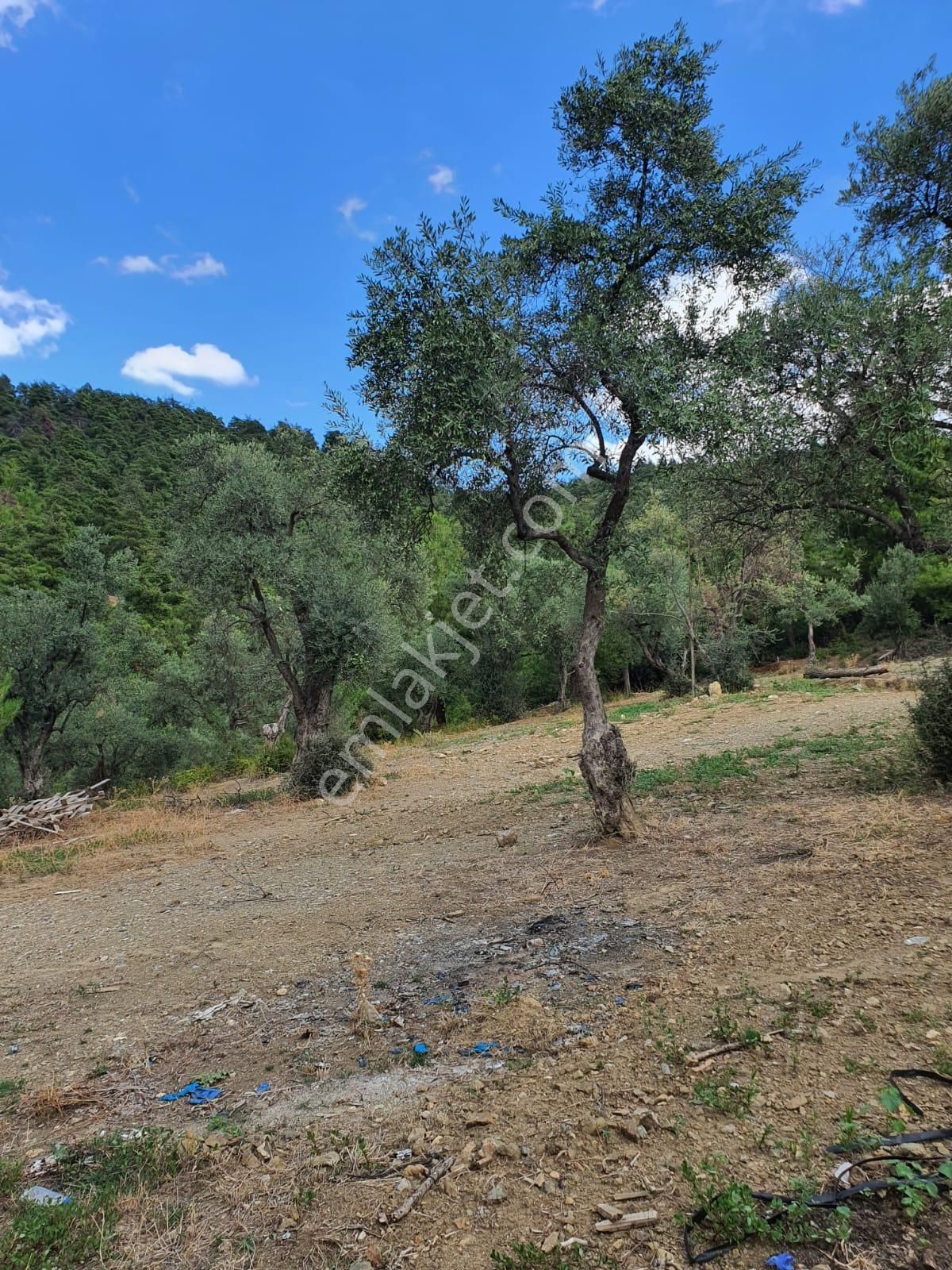 Kestel Dudaklı Mahallesinde Fırsat Parselli Araziler 900m2-1500m2 - Görsel 13