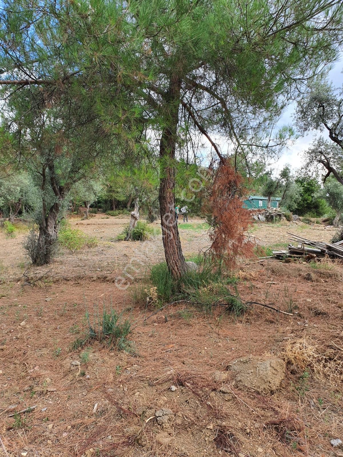 Kestel Dudaklı Mahallesinde Fırsat Parselli Araziler 900m2-1500m2 - Görsel 16