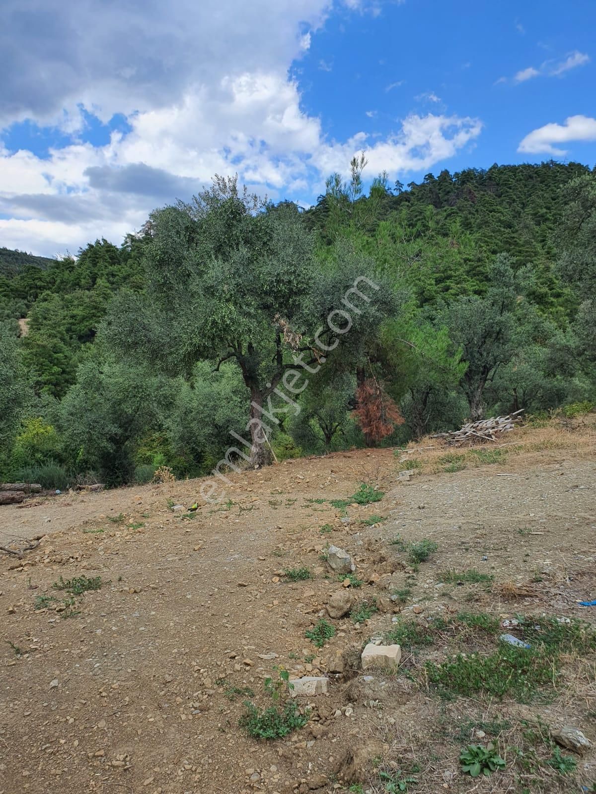 Kestel Dudaklı Mahallesinde Fırsat Parselli Araziler 900m2-1500m2 - Görsel 11