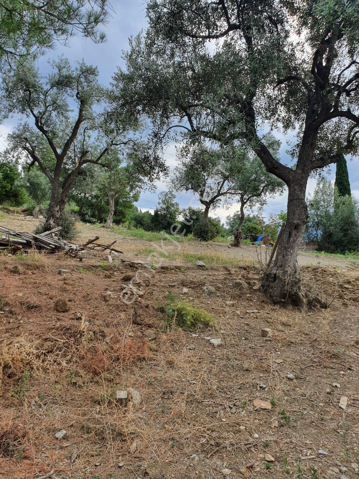 Kestel Dudaklı Mahallesinde Fırsat Parselli Araziler 900m2-1500m2 - Görsel 18