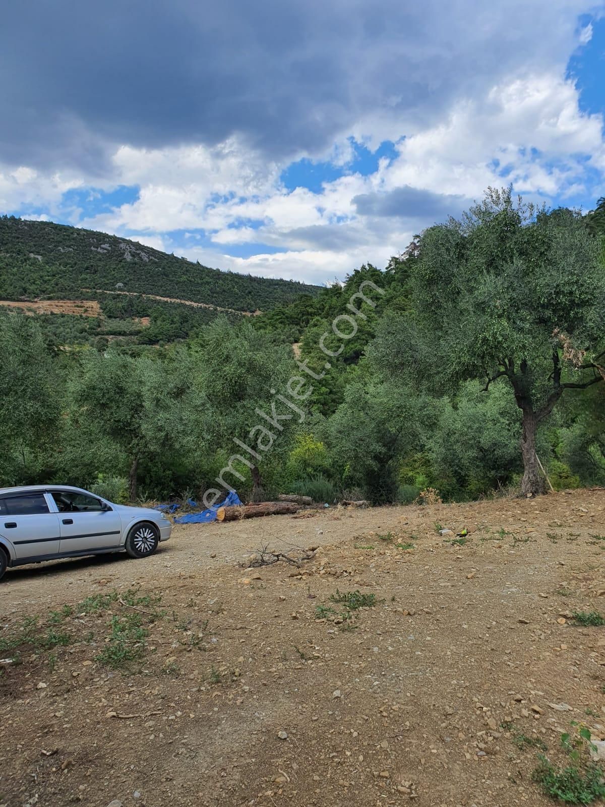 Kestel Dudaklı Mahallesinde Fırsat Parselli Araziler 900m2-1500m2 - Görsel 12