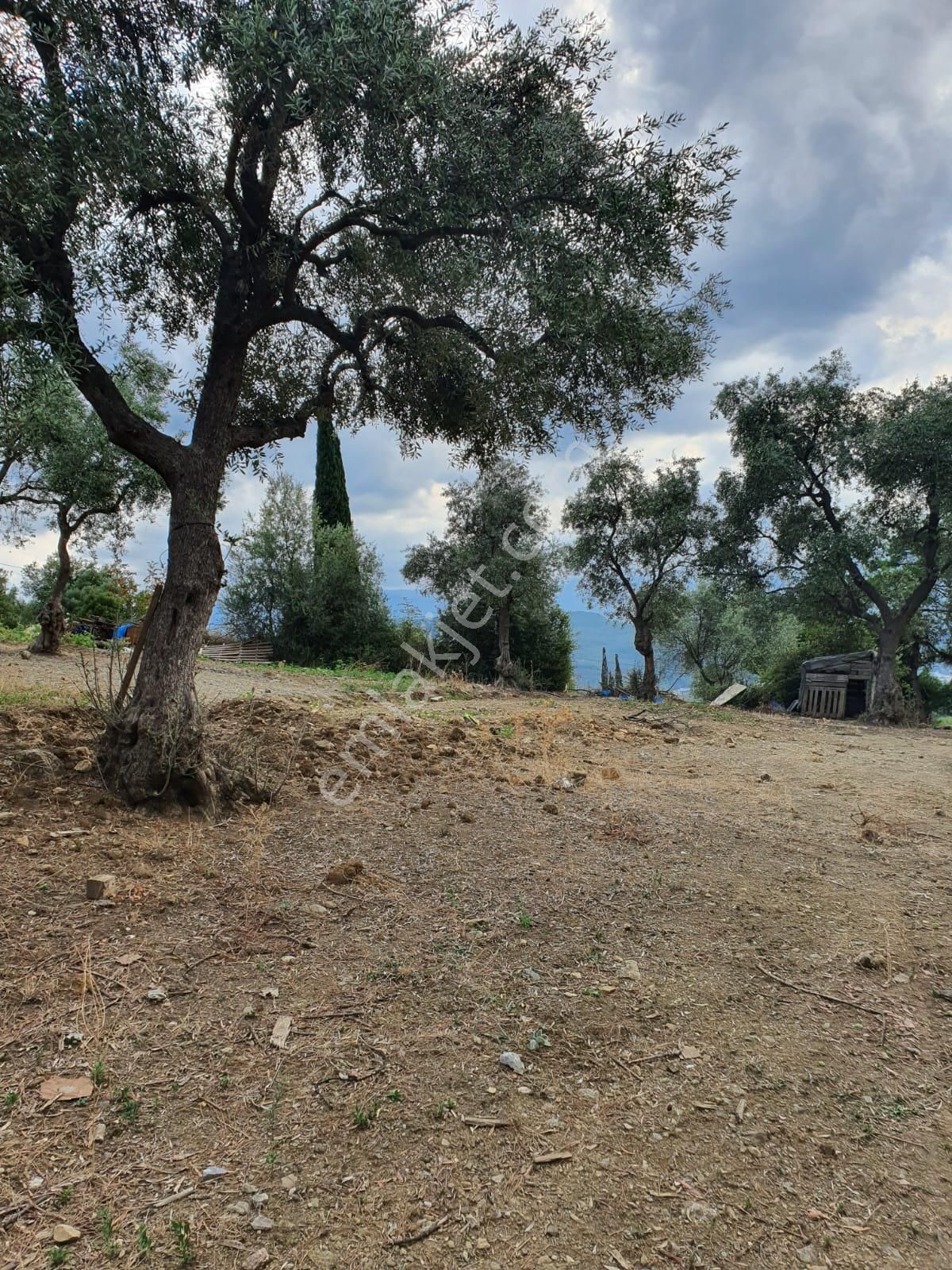 Kestel Dudaklı Mahallesinde Fırsat Parselli Araziler 900m2-1500m2 - Görsel 14