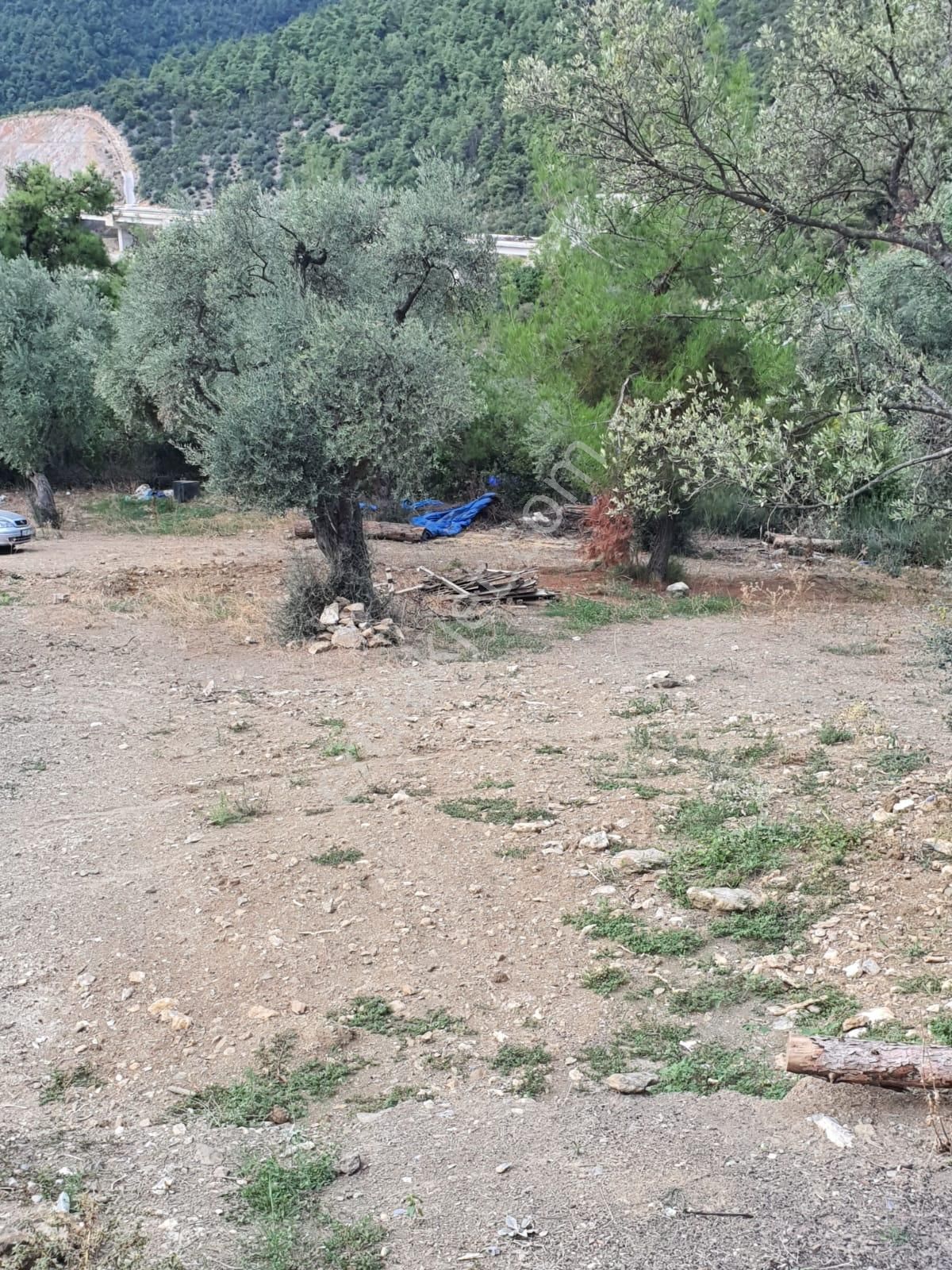 Kestel Dudaklı Mahallesinde Fırsat Parselli Araziler 900m2-1500m2 - Görsel 3