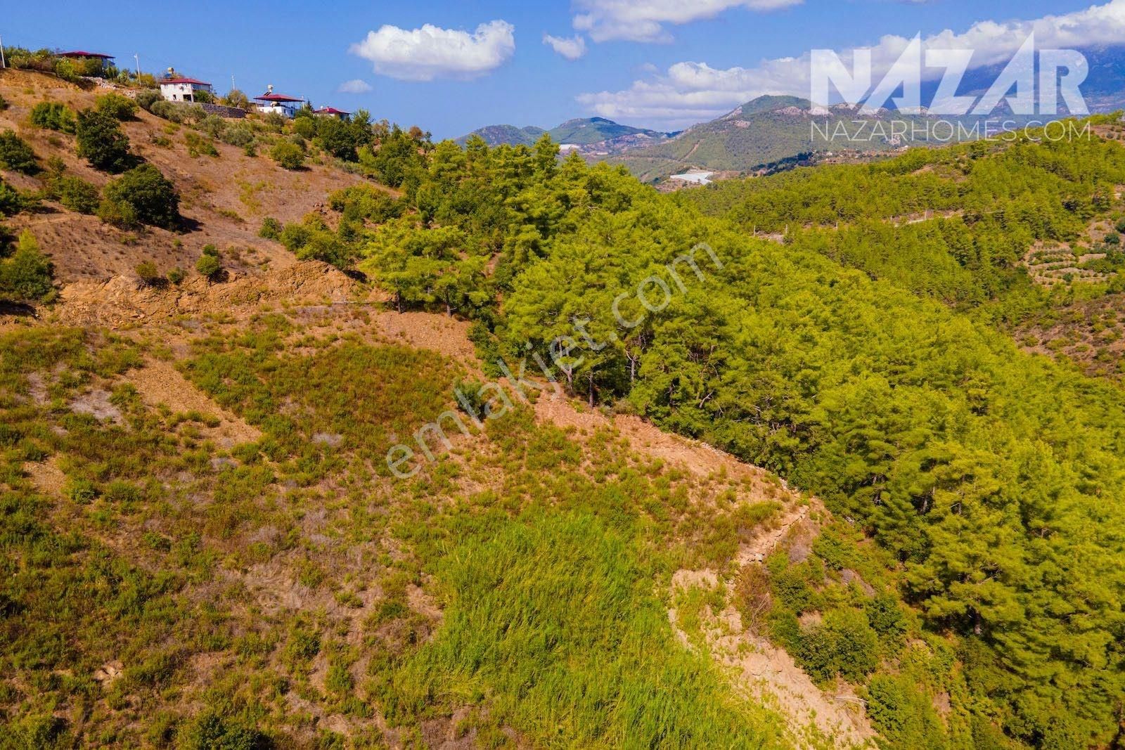 Alanya Çamlıca Köyü’nde Satılık 916 M² Tarla