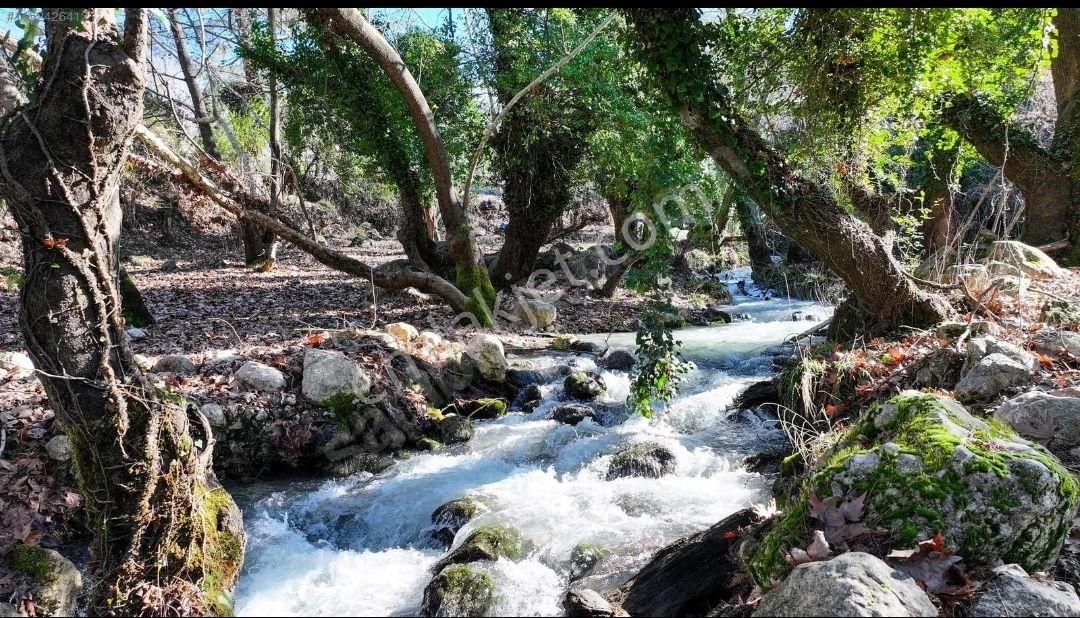 Seydikemer Yakaköy Satılık Tarla Kupon Arazi, Tarih Ve Doğa Manzaralı, Yol Ve Irmak Cepheli Emsalsiz Arazi