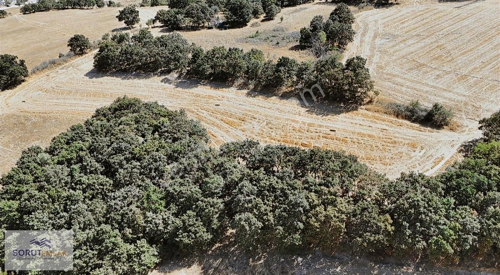 Keşan Erikli Köyü (Merkez Mevki) Satılık Tarla Erikli Sahil Deniz Manzaralı Satılık 5358 M2 Tarla