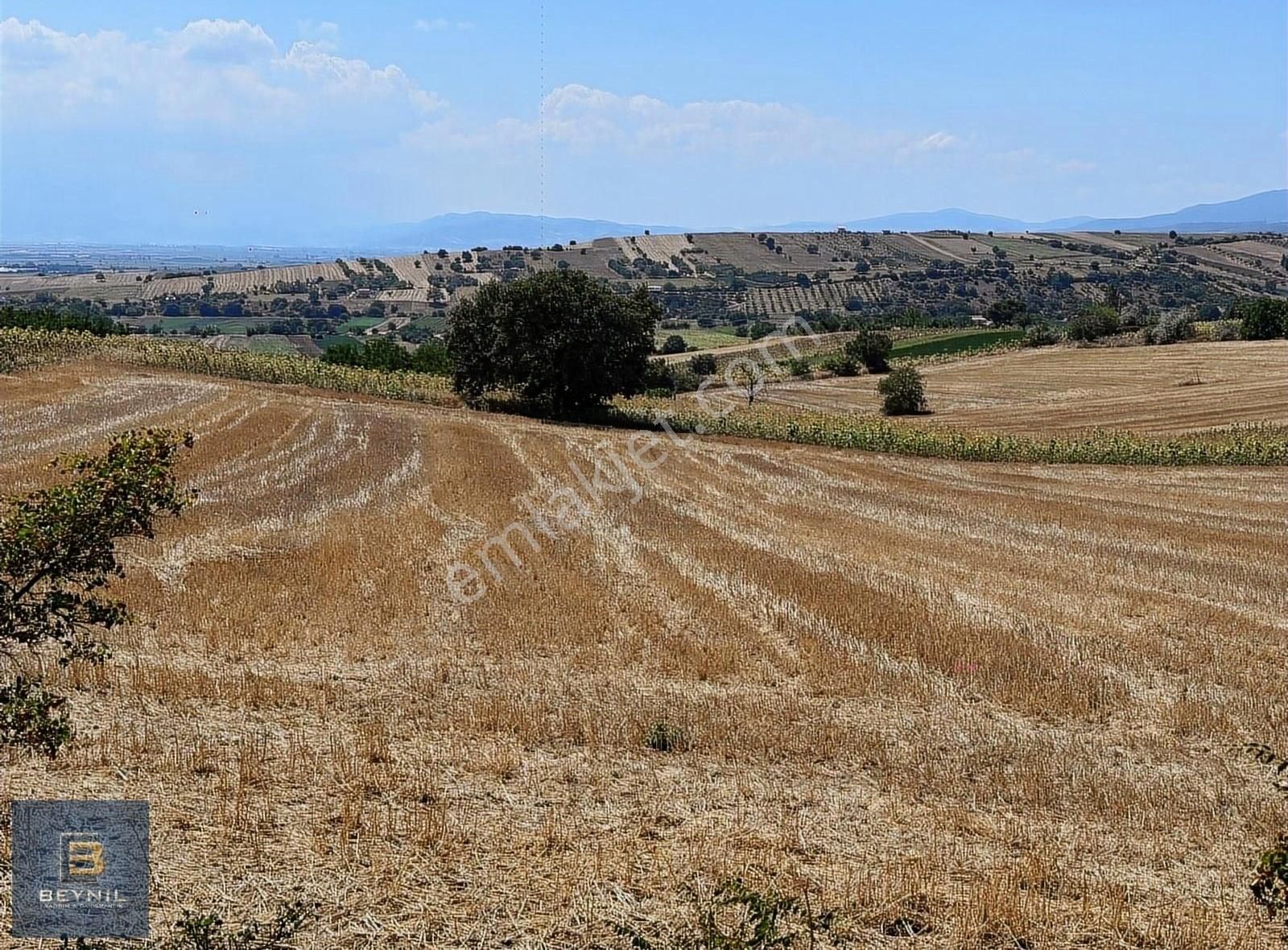 Yenişehir Kozdere Satılık Tarla Beynil'den Yenişehir Kozdere'de Satılık Tarla