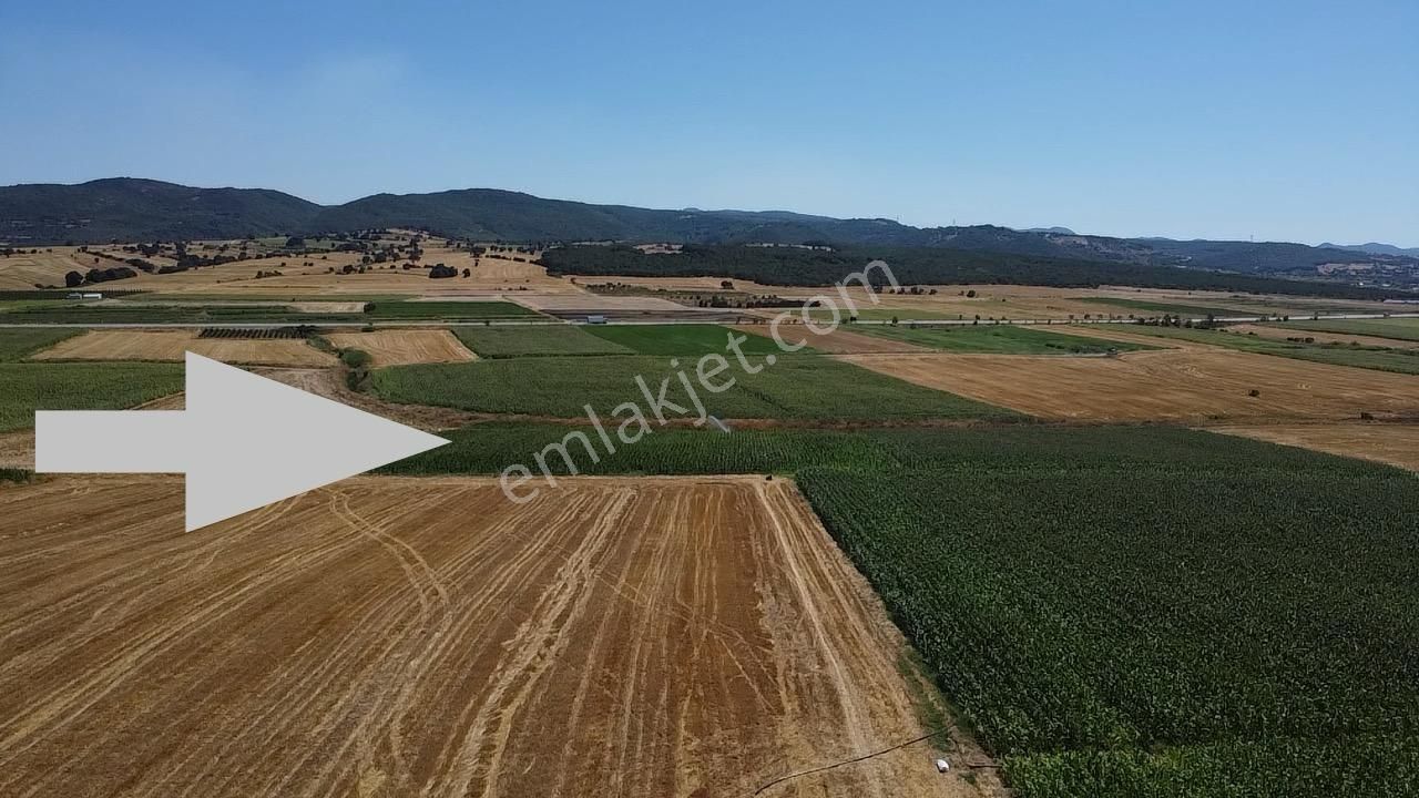 Biga Güvemalan Köyü Satılık Tarla  BİGA  GÜVEMALAN  SATILIK SUYU OLAN TARLA 8723 M2