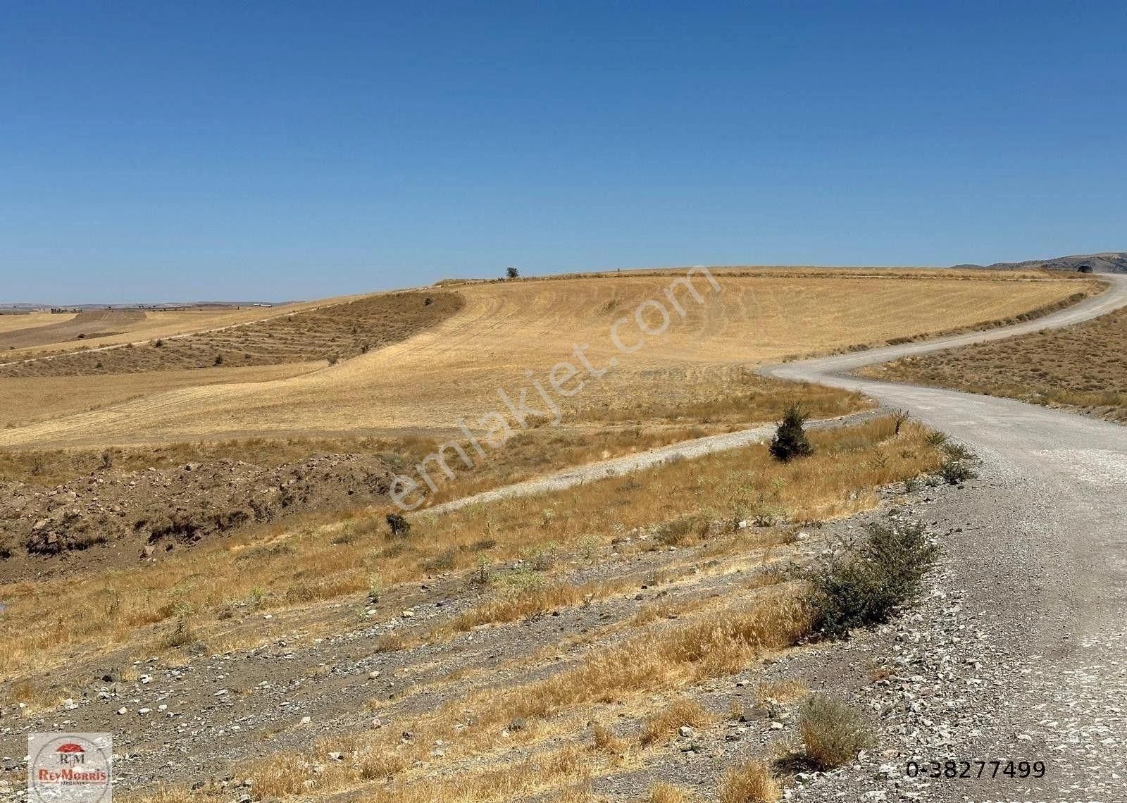 Altındağ Aydıncık Satılık Tarla Ankara Altındağ Aydıncık Yayla Ardında İki hisseli Satılık 13.200 M2 Tarla