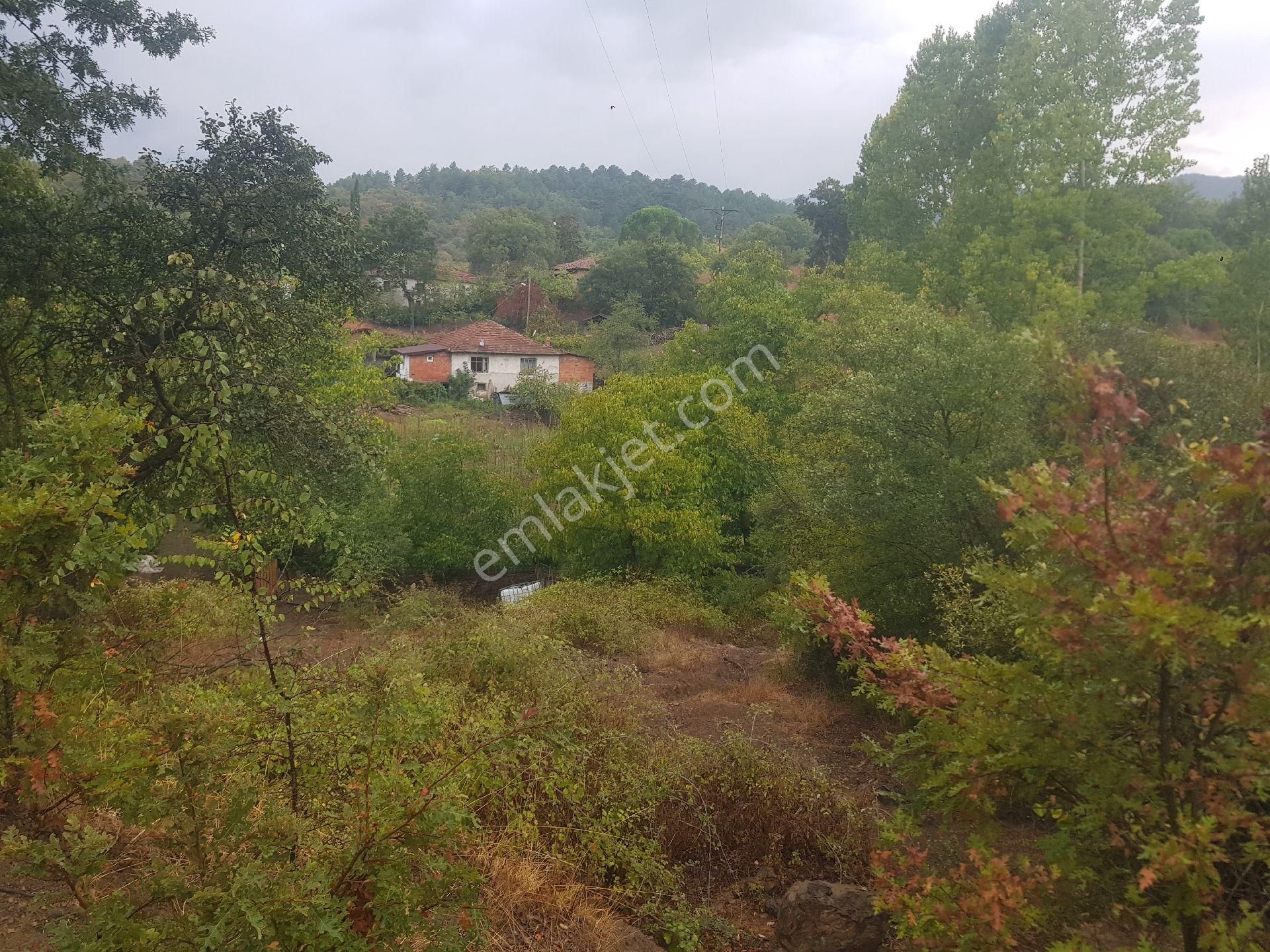 Kazdağları İmarlı Arsa - Görsel 3