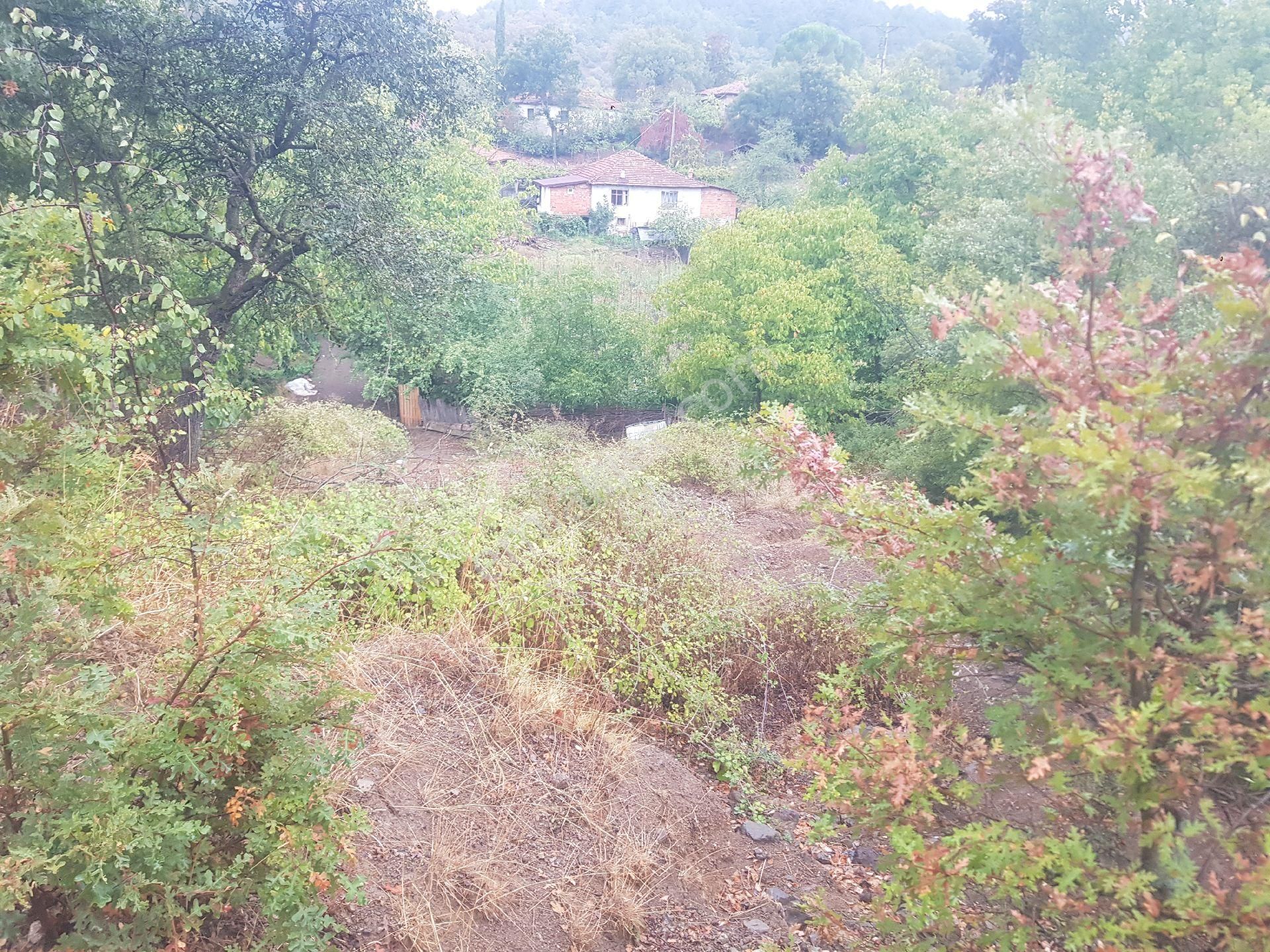 Kazdağları İmarlı Arsa - Görsel 5