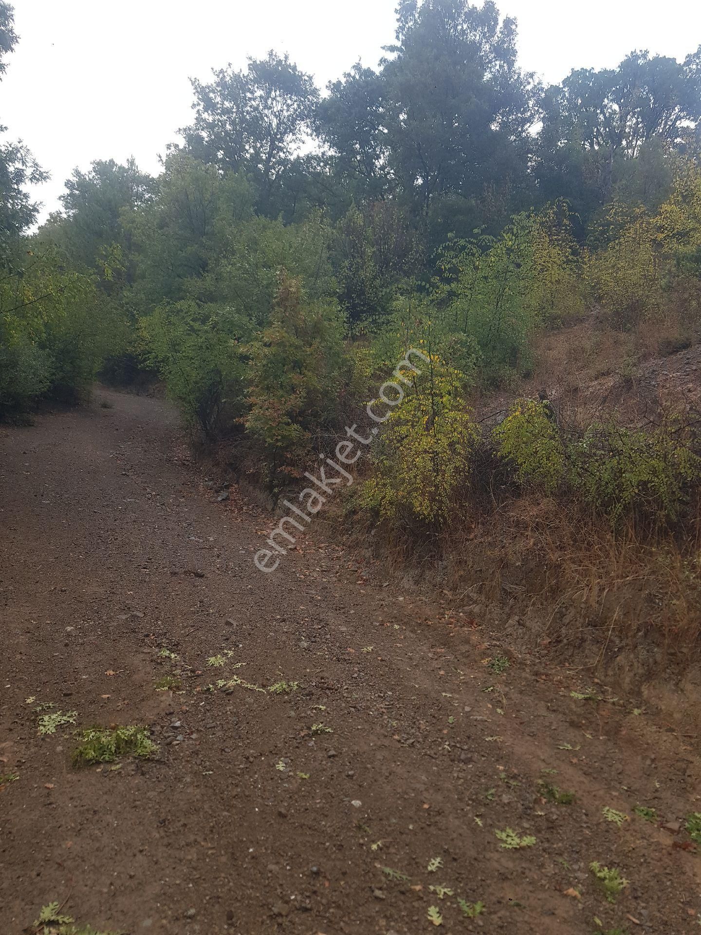 Kazdağları İmarlı Arsa - Görsel 4