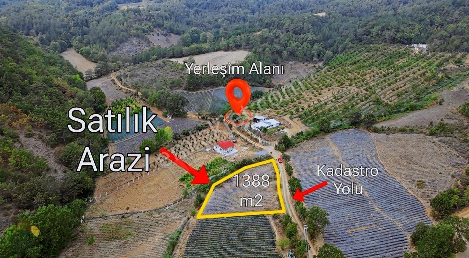 Pamukova Kemaliye Satılık Bağ & Bahçe Sakarya Pamukova Kemaliye Mahallesi 1388 Metre Hobi Bahçesi