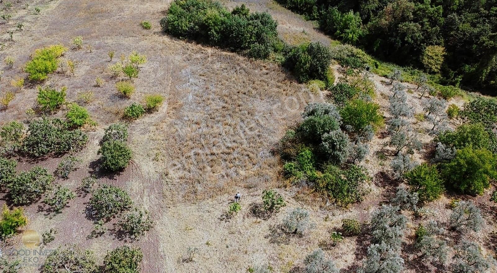 Osmangazi Dürdane Köyünde Tek Tapu Satılık Tarla - Görsel 8