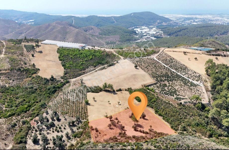 Kumluca Erentepe Satılık Tarla Sahibinden Böyle Fırsat Yok