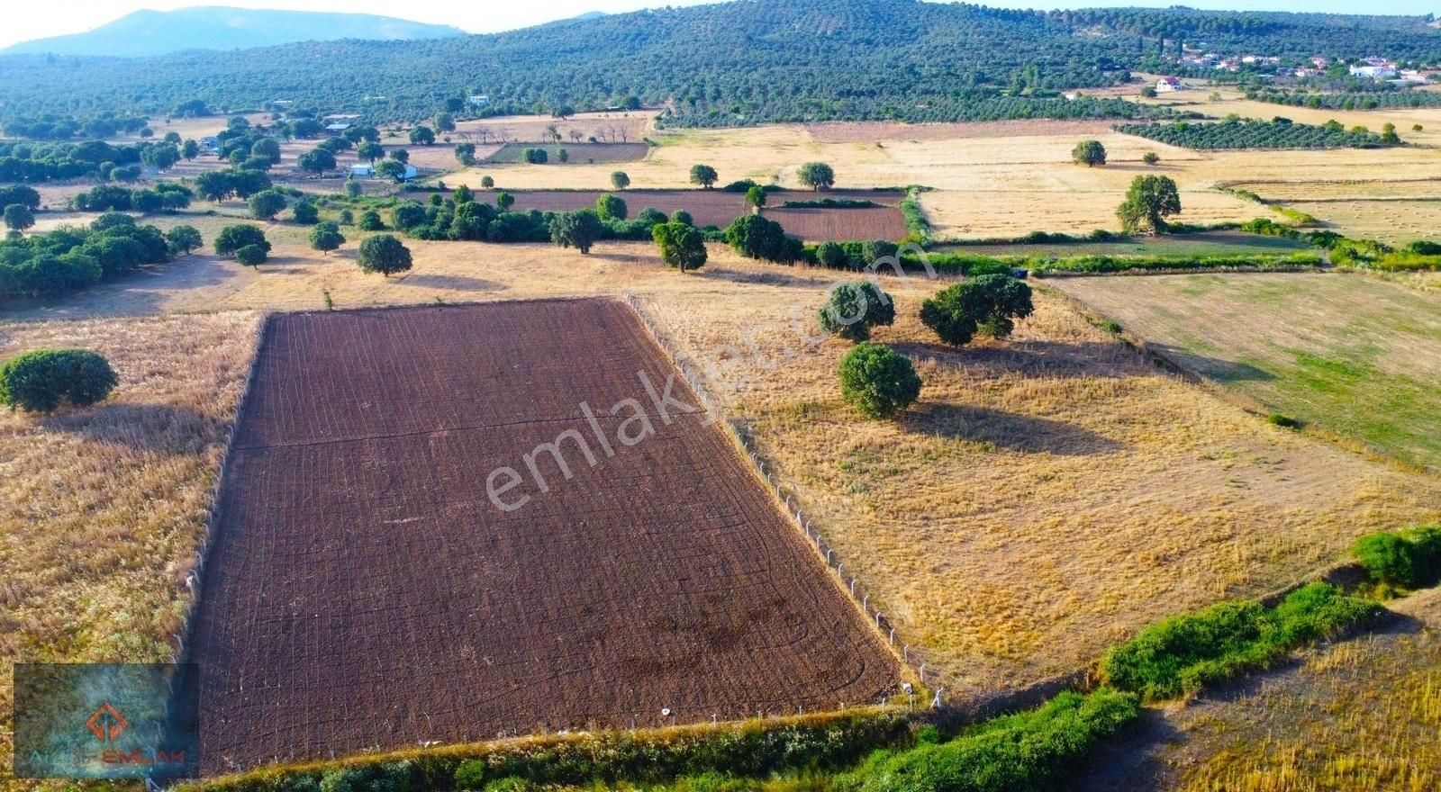 Burhaniye Şahinler Satılık Tarla ▓AKTİF'TEN ŞAHİNLER KÖYÜNDE KAÇIRILMAYACAK FIRSAT SATILIK TARLA▓