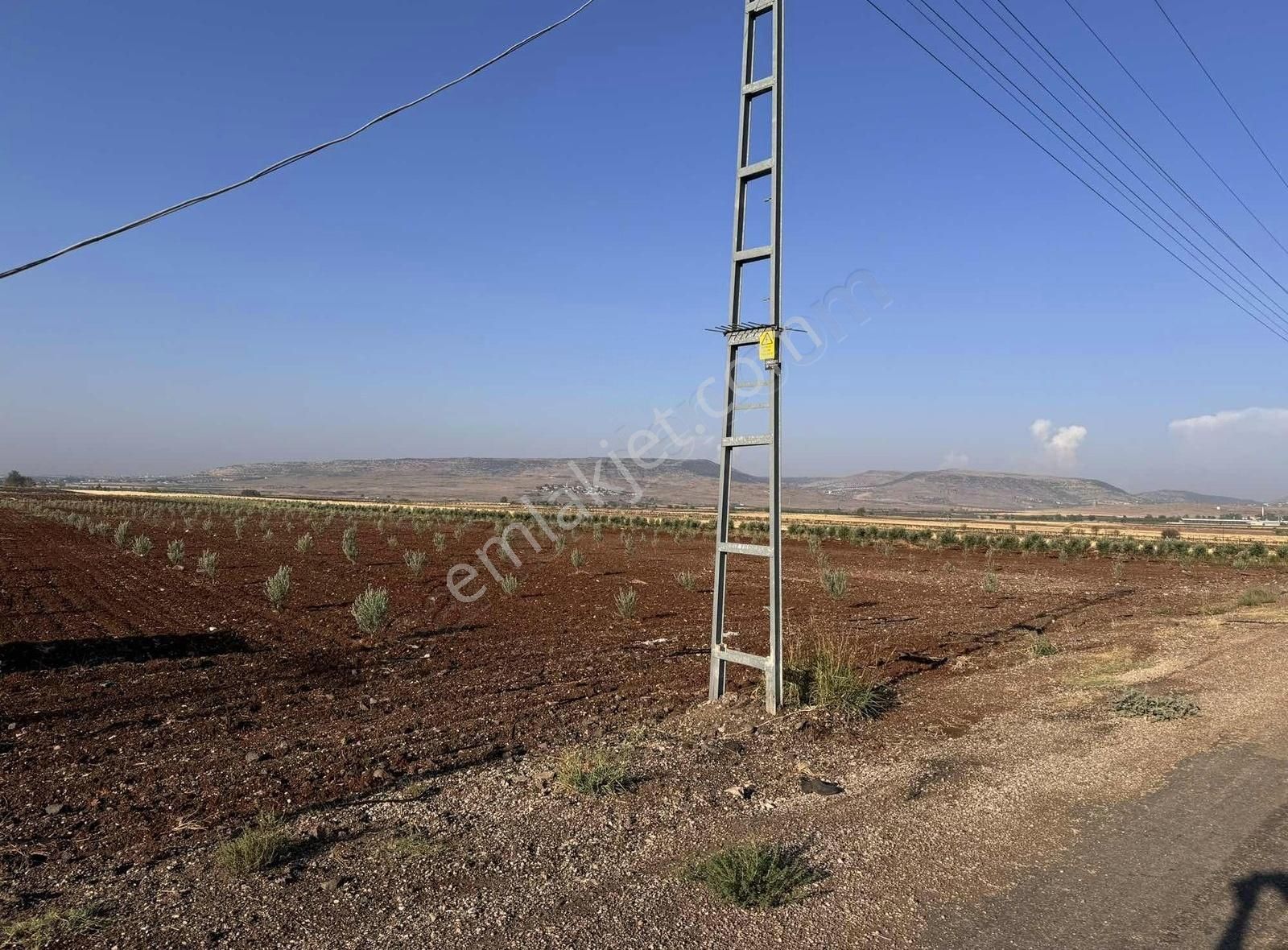 Kilis Merkez Karamelik Köyü (Gençtepe) Satılık Tarla GENÇ GAYRİMENKUL DEN KARAMELİK DE ZEYTİN YOLA SIFIR