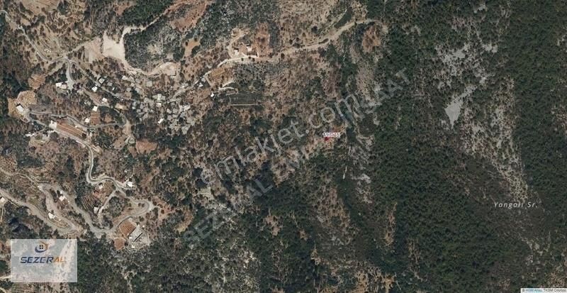 Alanya Bademağacı Satılık Tarla Alanya Bademağacında Satılık 242 M2 Arsa Yatırımlık