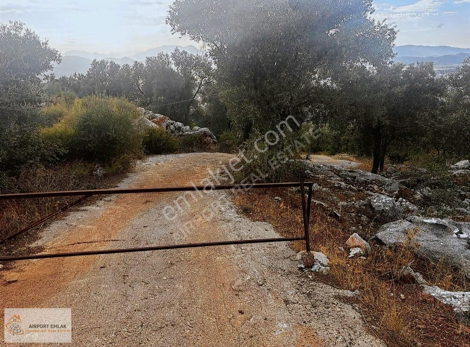 Dalaman Şerefler Satılık Villa Deniz Manzaralı Geniş arazi üzerine kurulu bungalow