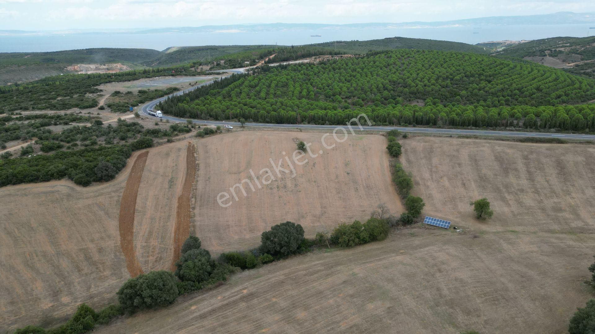 Biga Değirmencik Köyü Satılık Tarla  ÇANAKKALE BİGA'DA SATILIK YATIRIMA UYGUN 10.350 METREKARE TARLA