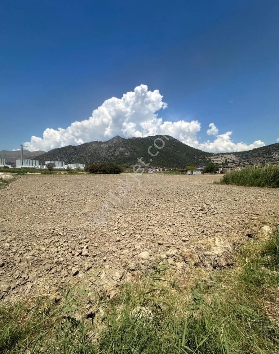Milas Ören'de Denize Yürüme Mesafesinde Satılık Tarla - Görsel 5