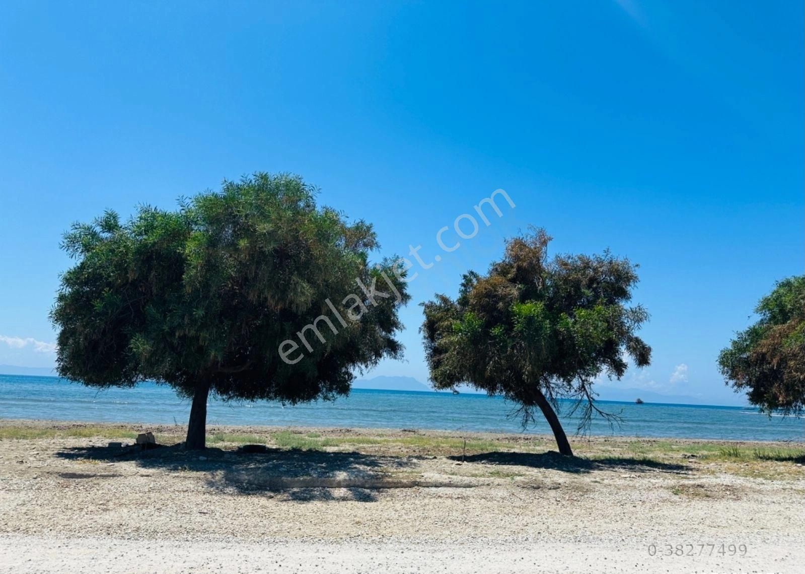 Milas Ören'de Denize Yürüme Mesafesinde Satılık Tarla - Görsel 16