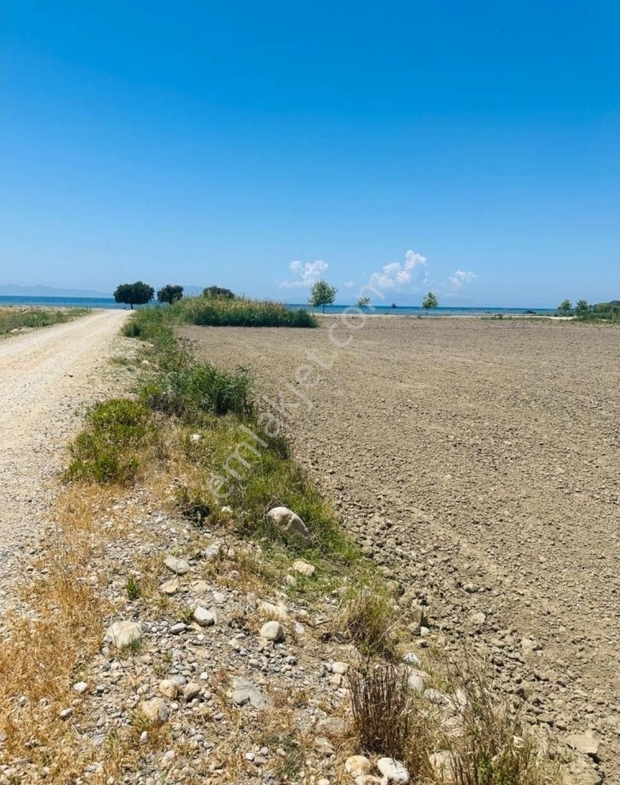 Milas Ören'de Denize Yürüme Mesafesinde Satılık Tarla - Görsel 14