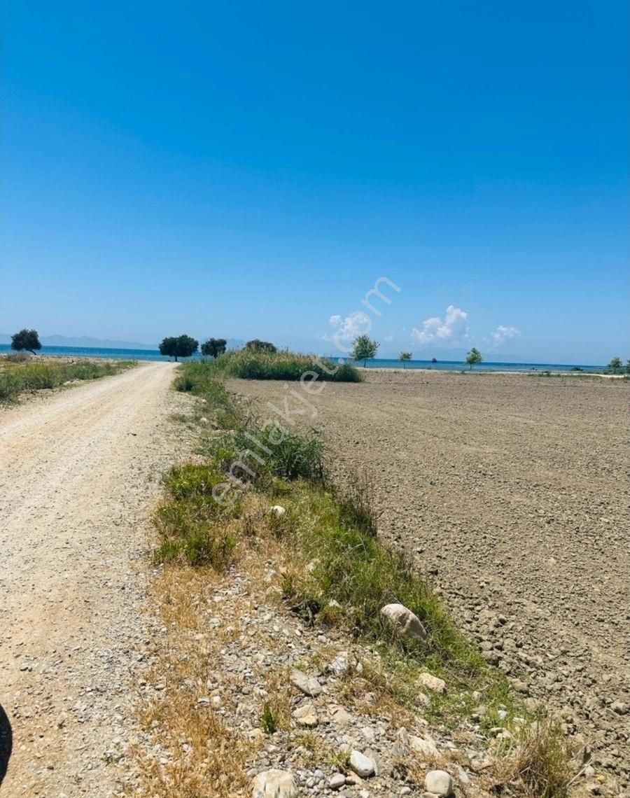 Milas Ören'de Denize Yürüme Mesafesinde Satılık Tarla - Görsel 4