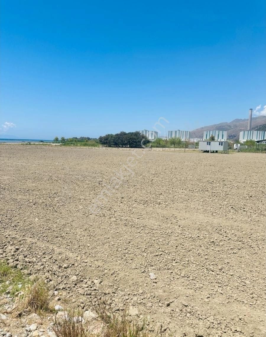 Milas Ören'de Denize Yürüme Mesafesinde Satılık Tarla - Görsel 6