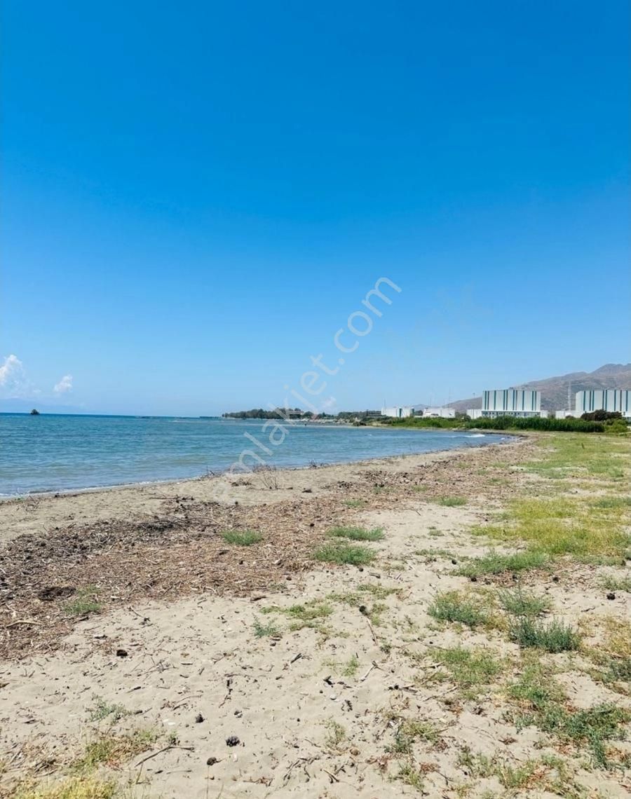 Milas Ören'de Denize Yürüme Mesafesinde Satılık Tarla - Görsel 12