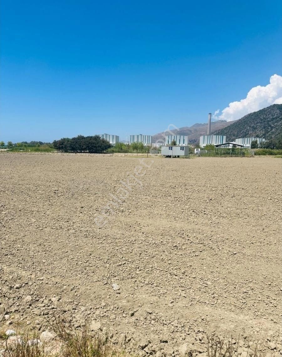 Milas Ören'de Denize Yürüme Mesafesinde Satılık Tarla - Görsel 2