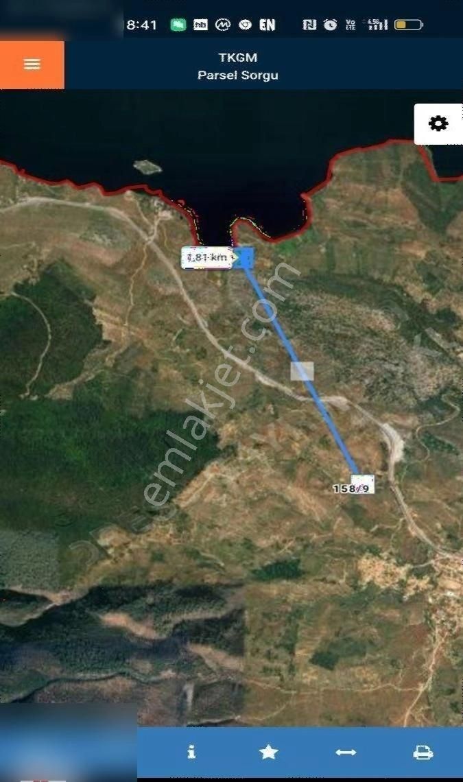 Milas Pınarcık Satılık Zeytinlik Muğla Pınarcık Satılık Zeytinlik