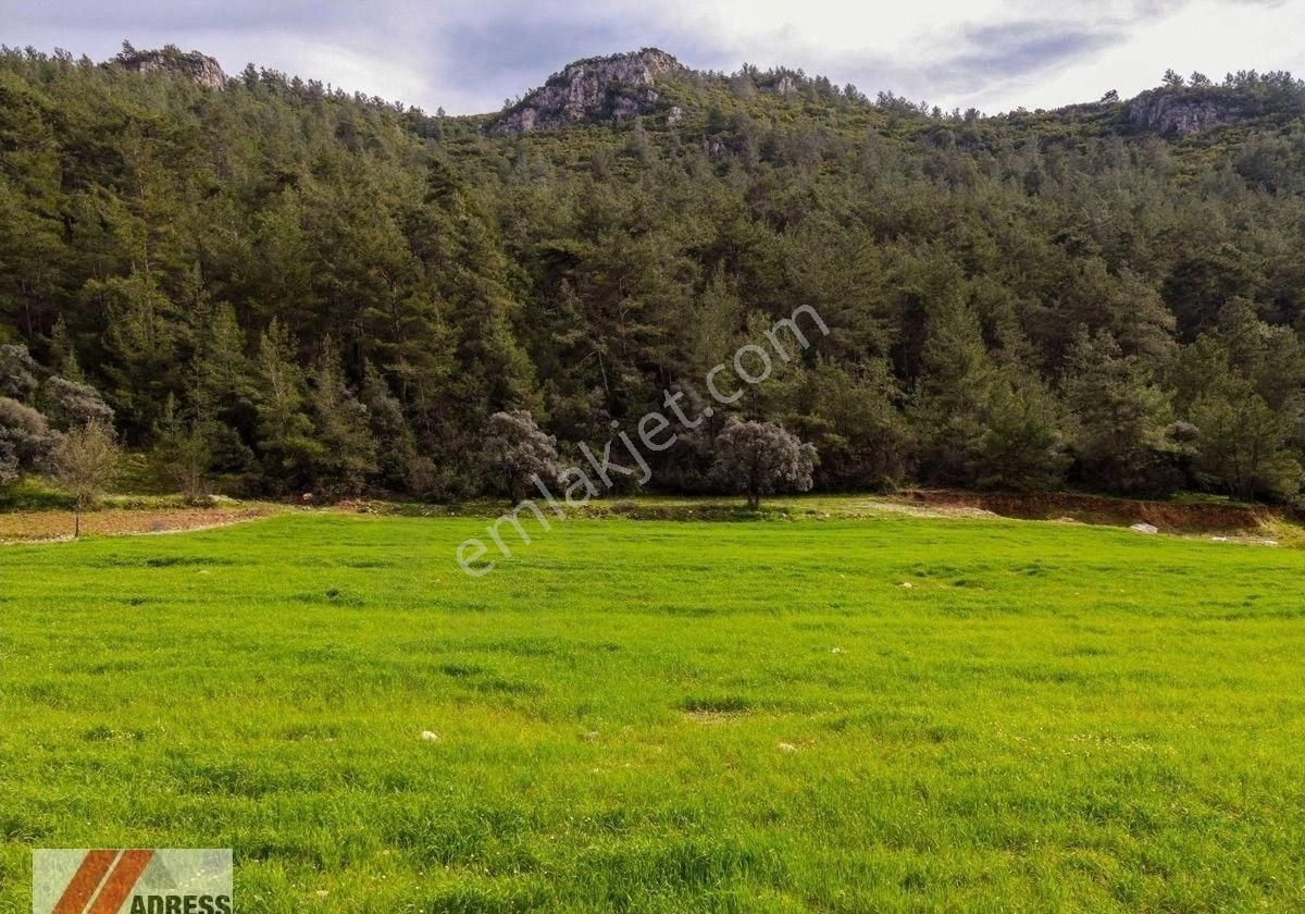 Milas Alatepe Satılık Tarla Ören Alatepe Satılık Thiny hause Koyma Alanı