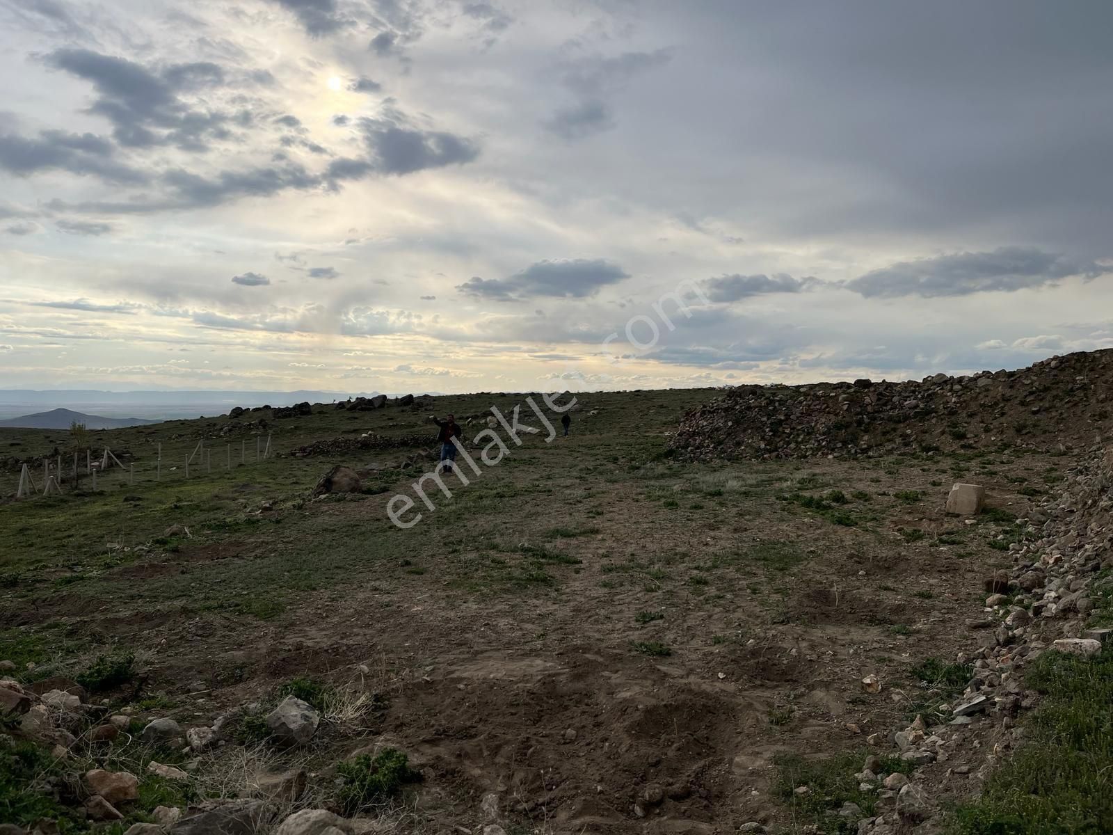 Develi Yedek Satılık Tarla KULLANIMA HAZIR ARSA 