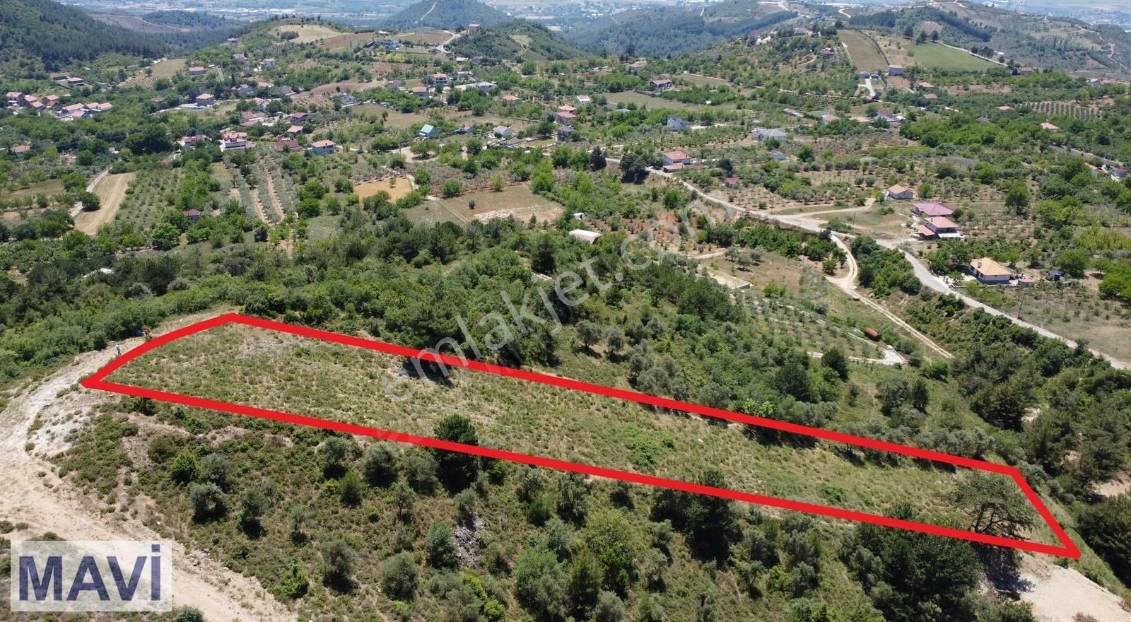 Pamukova Kazımiye Satılık Tarla Remax Maviden Kazimiye(boşnaklar) Mah. Panoramik Manzaralı Arsa