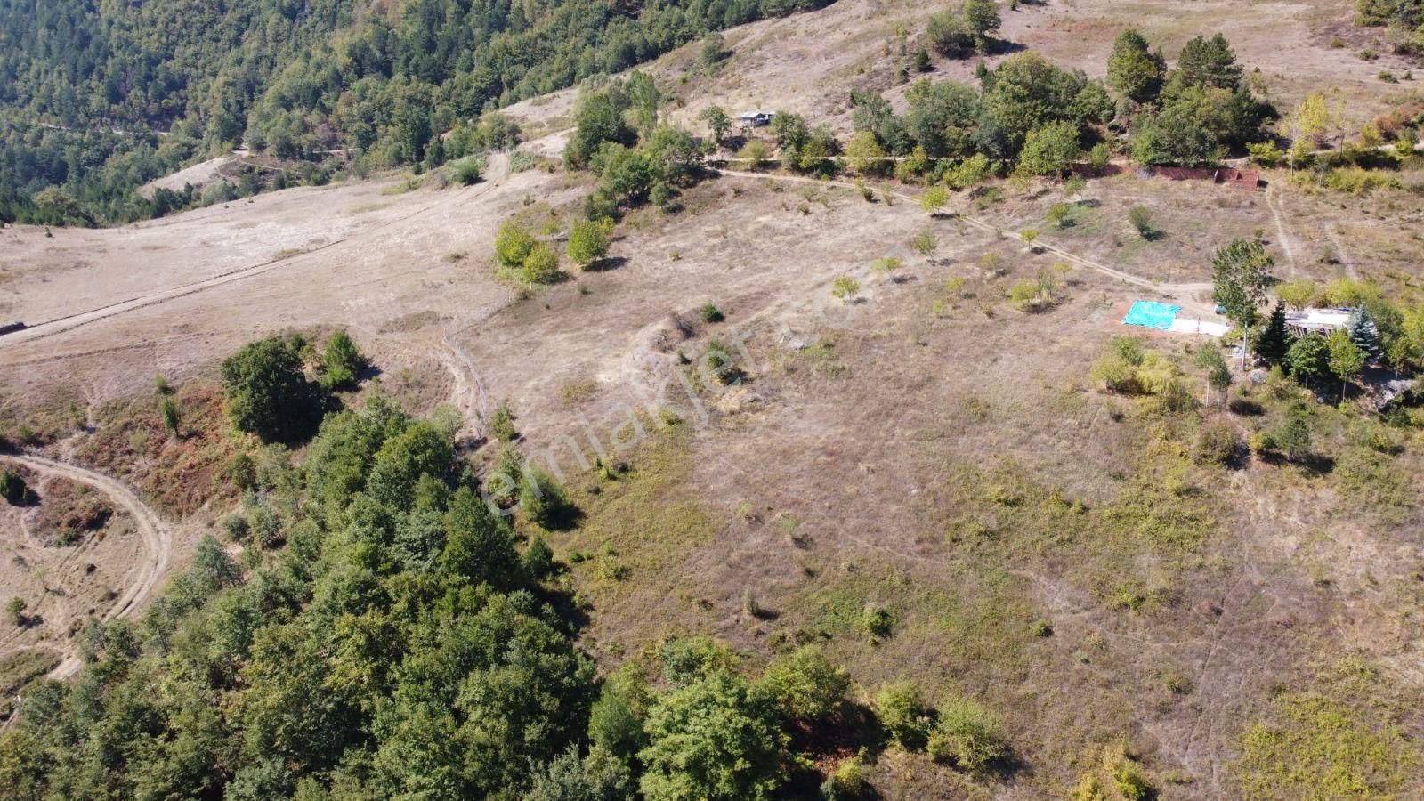 Geyve Güney Satılık Arazi SAKARYA GEYVE'DE SATILIK ARAZİ 