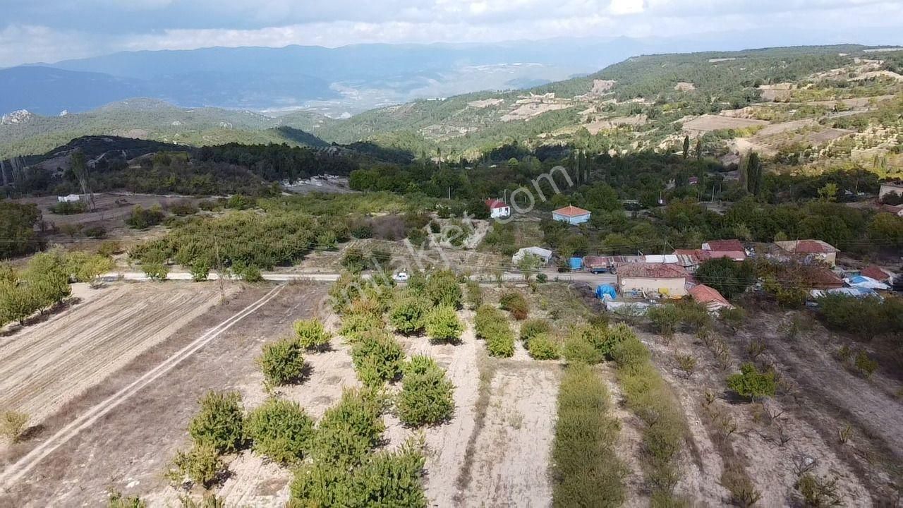 Osmaneli Balçıkhisar Köyü Satılık Tarla Asalta 1 Parsel 540 M2 Yetişkin Erik Bahçesi