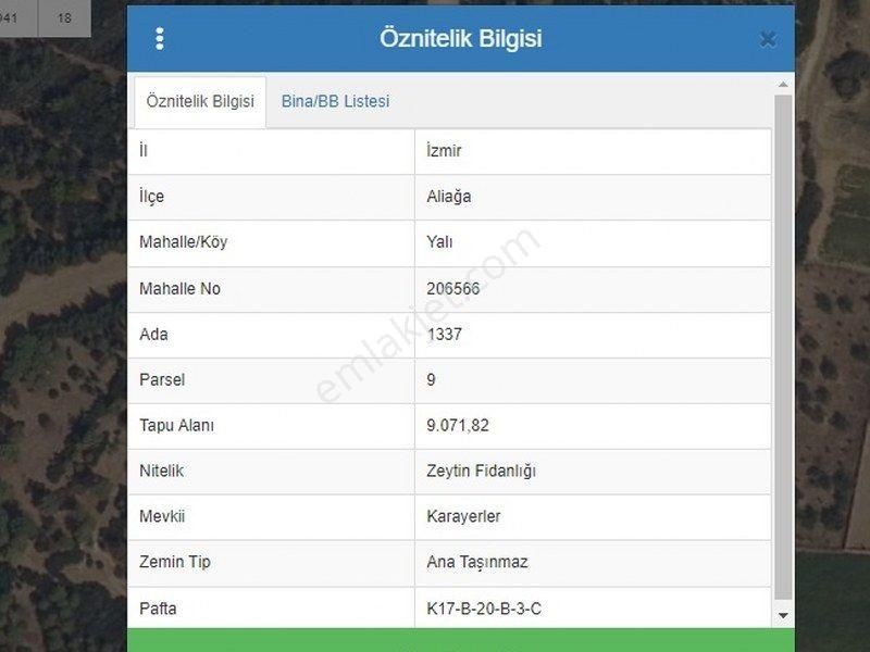 Bülent Ateşci'den 6 Ana Hisseden Oluşan 9071 M2 Zeytinlik Alanı - Görsel 2