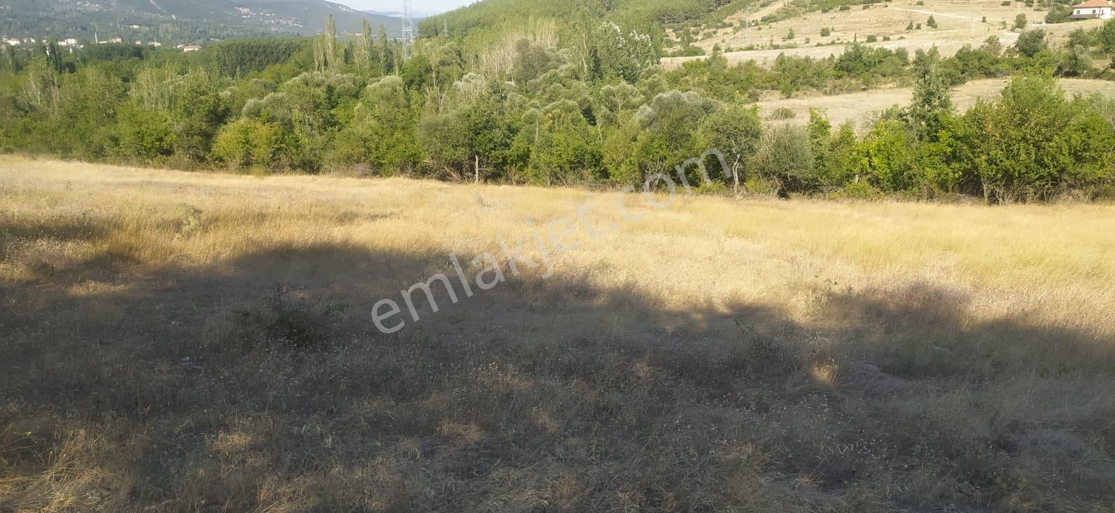 Asya Evim Emlaktan Kum Mah De Satılık Parsellenebilir Arazi - Görsel 13