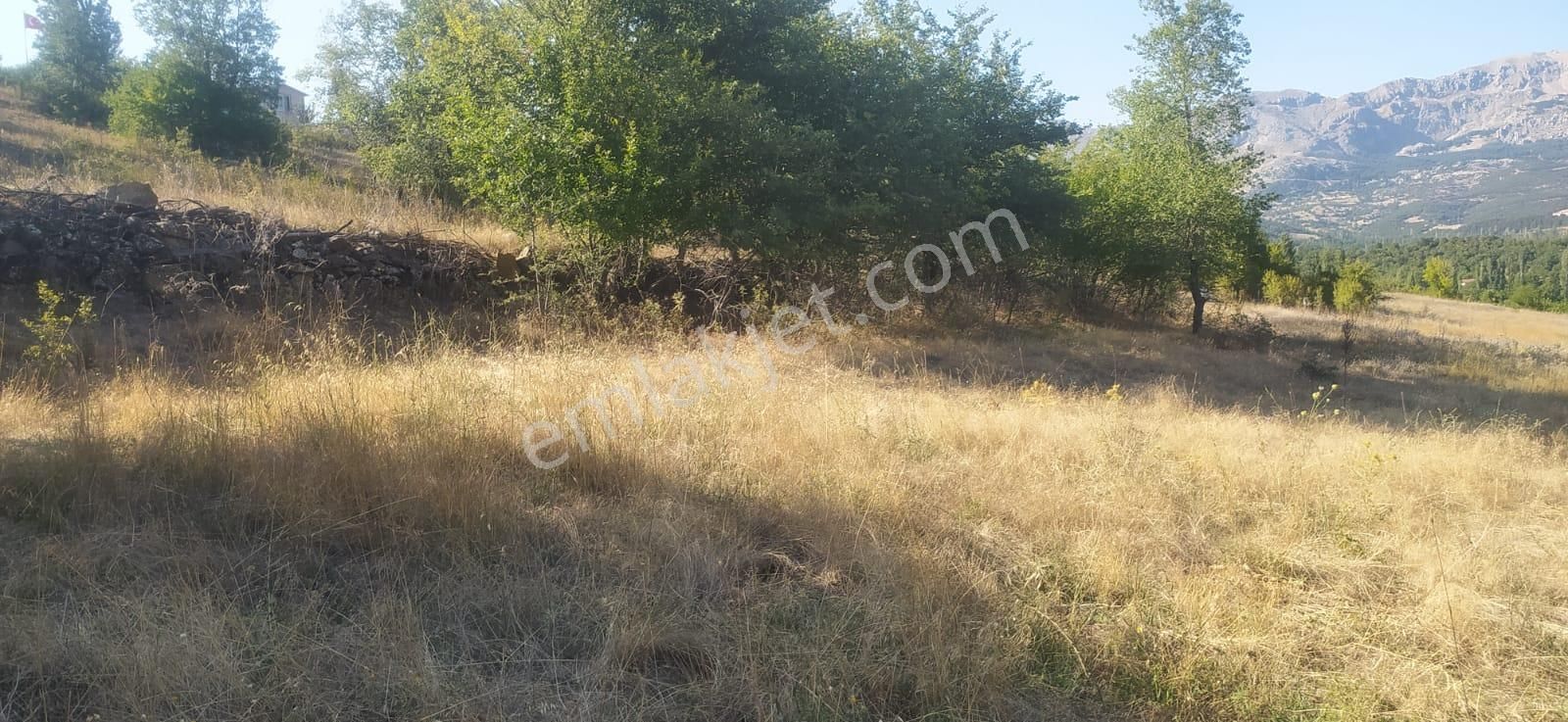 Asya Evim Emlaktan Kum Mah De Satılık Parsellenebilir Arazi - Görsel 18