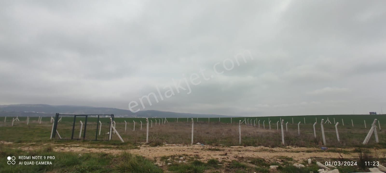 İstanbul Çatalca İzzettin Satılık 1000 M2 Arsa Tarla - Görsel 14