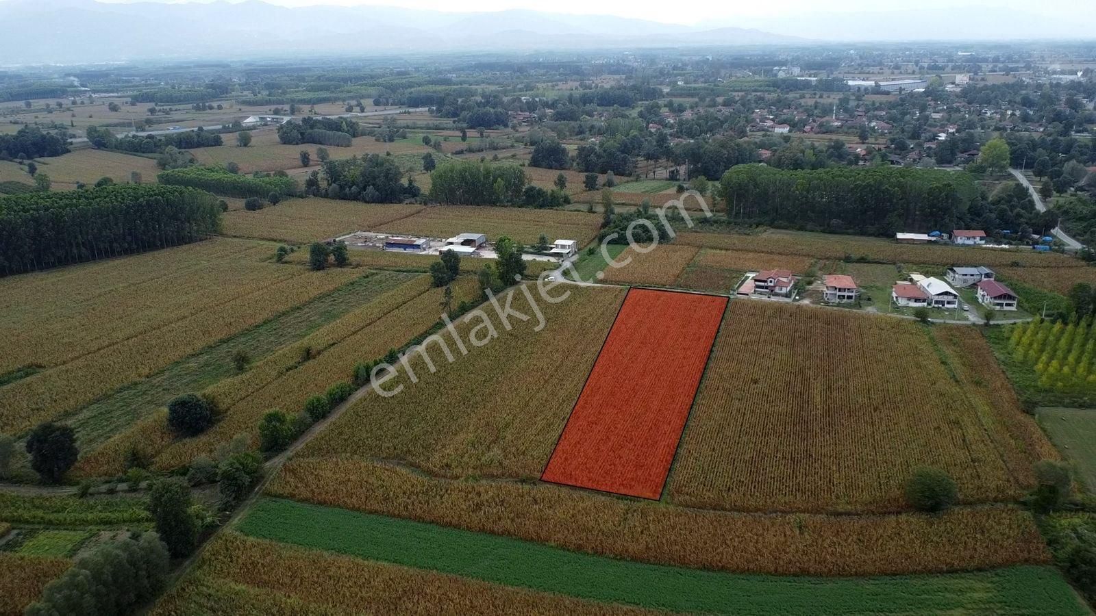 Akyazı Osmanbey Satılık Arazi Hendek Osb Ve Kuzey Marmara Otoyoluna Yakın Mesafede