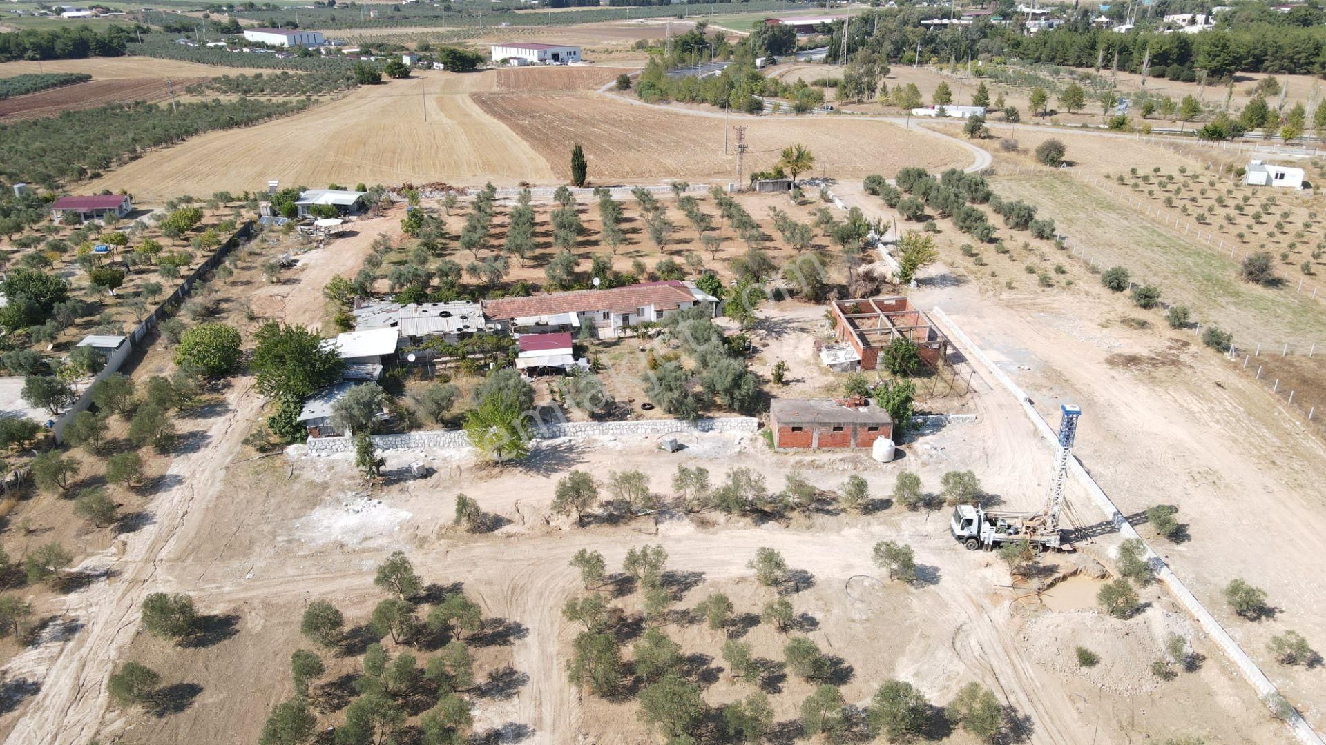 Oğlananasında Satılık 275 M2 Gaziemire Yakın Zeytinli Bahçeler - Görsel 2