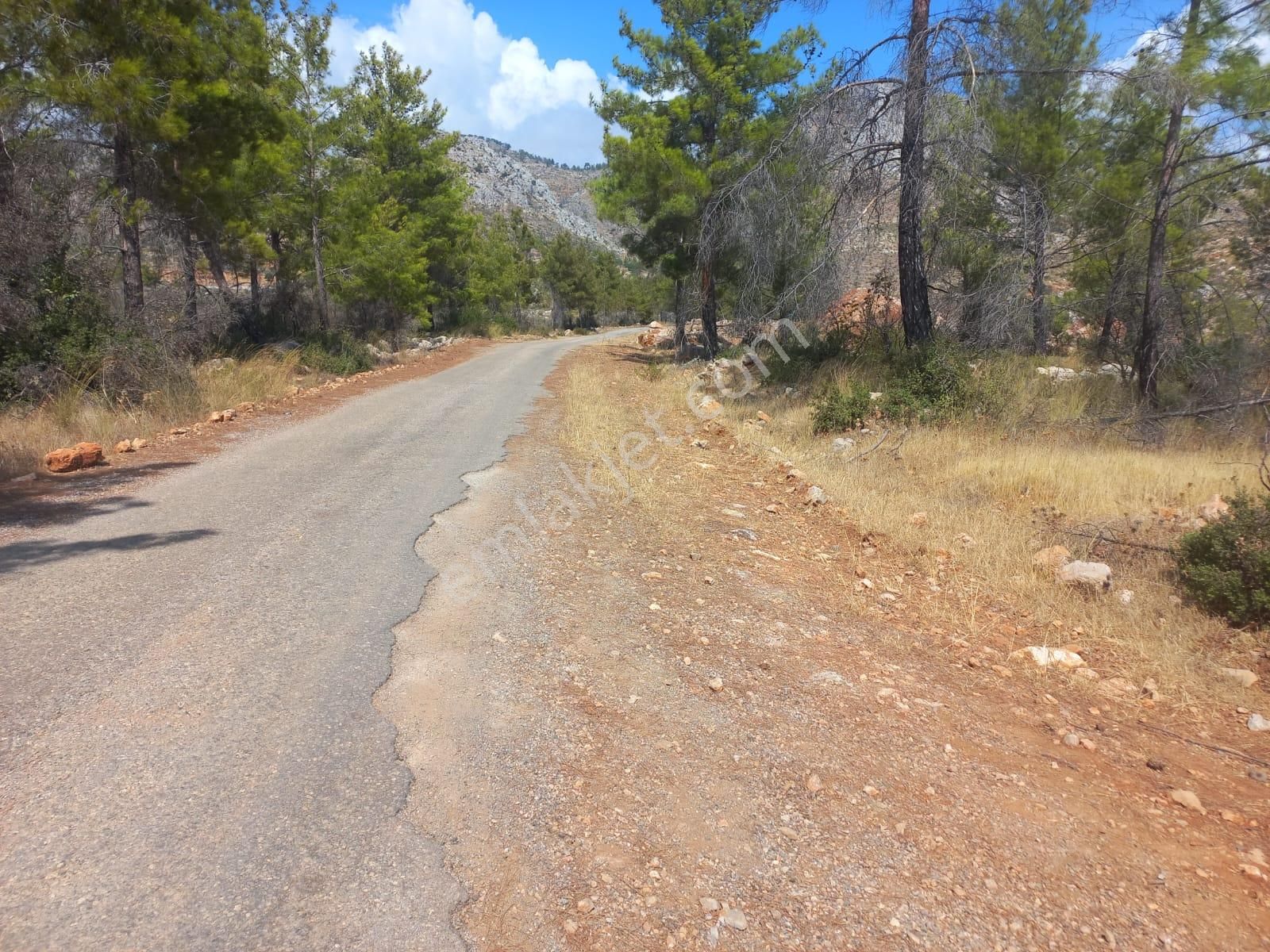 37 Dönüm Müstakil 330 Rakım Asfalta Cephe - Görsel 2