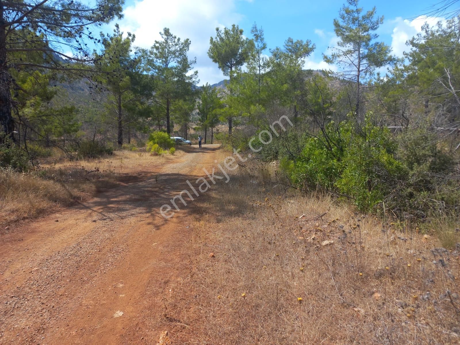 37 Dönüm Müstakil 330 Rakım Asfalta Cephe - Görsel 4