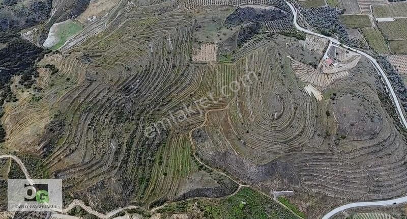 Alaşehir Hacıbey Satılık Tarla Özbay Gayrimenkulden / Hacıbey Mah'de Satılık 111.160 M2 Arazi