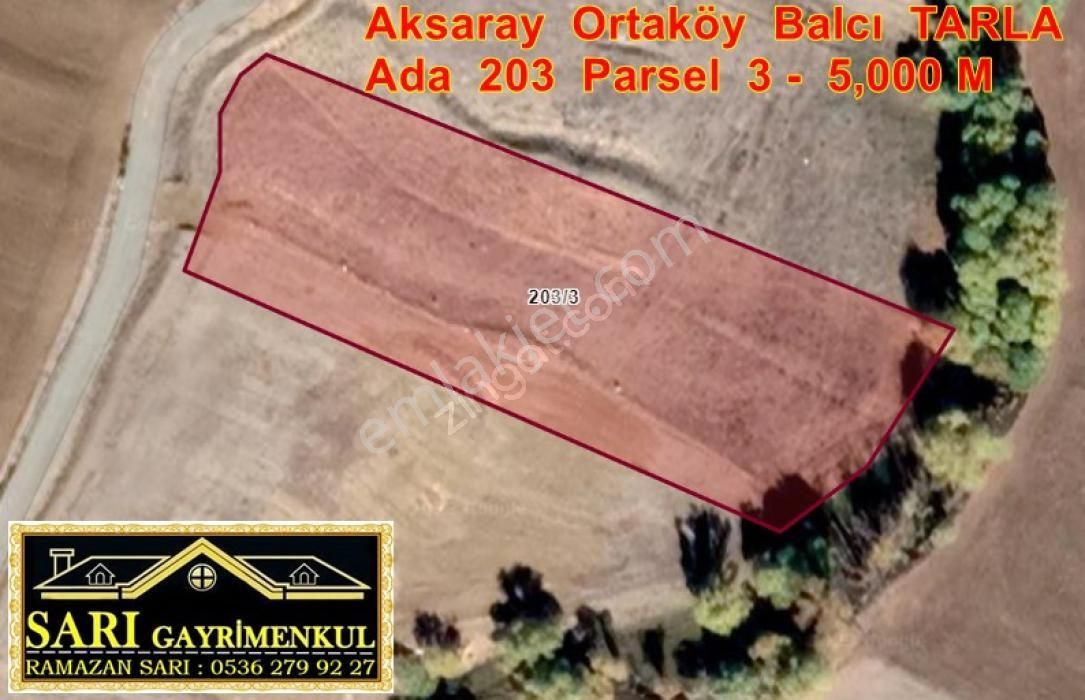 Ortaköy Balcı Satılık Tarla Aksaray Ortaköy Balcı Tarla Ada 203 Parsel 3 - 5,000 M