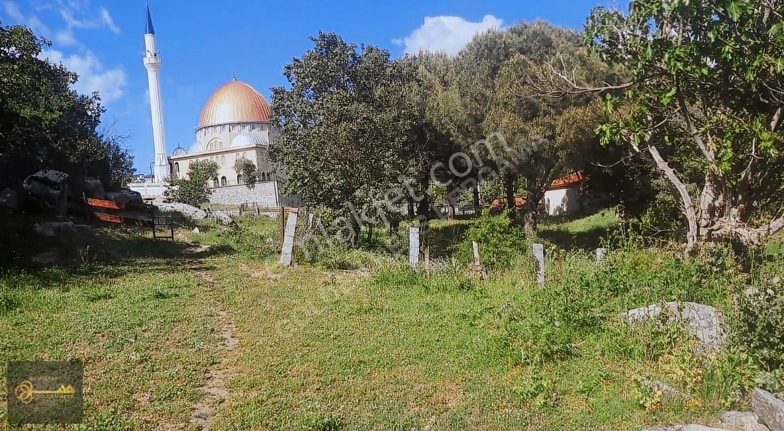 Bergama Terzihaliller Satılık Bağ & Bahçe EGENİN OKSİJEN DEPOSU YEŞİL DENİZ KOZAK TA SATILIK KÖY İÇİ BAHÇE