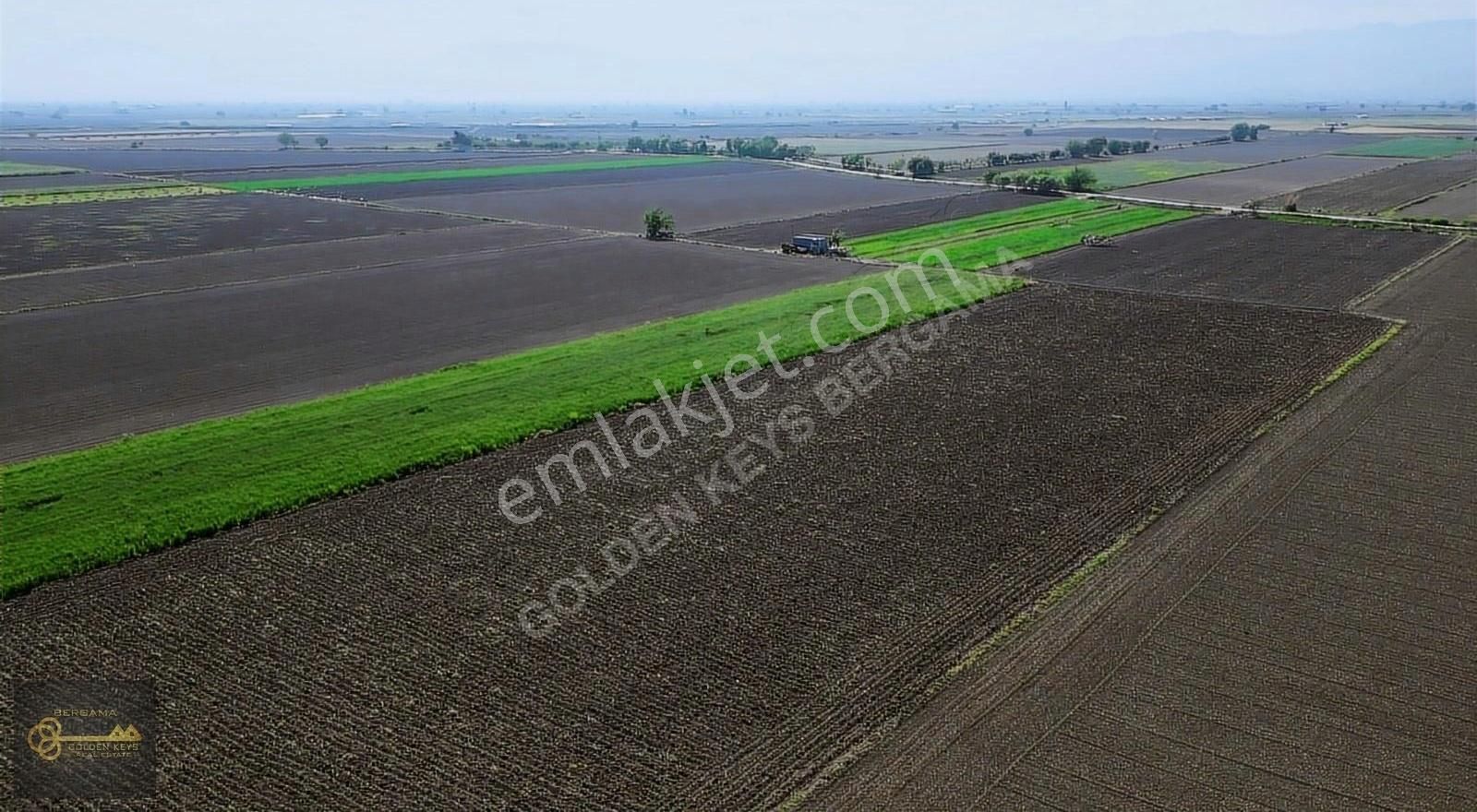 Bergama Dağıstan Satılık Tarla İZMİR BERGAMA DAĞISTAN OVASINDA SATILIK TARLA