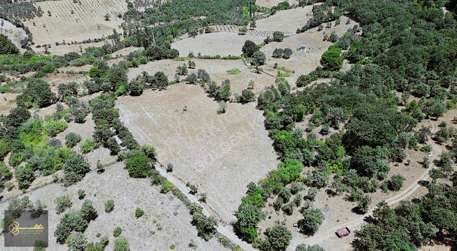 Bergama Sarıcaoğlu Satılık Tarla BERGAMA SARICAOĞLUNDA KÖY MERKEZİNE YAKIN TARLA